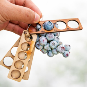 Calibrador arándano tipo llavero 7-24 / madera